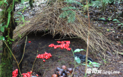 С����Ҳ�����鷿?ʵ��С��ĺ����鷿