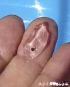 ����������ģ�������ȫ͸���ĺ��������Ҳ����δ����