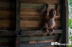 һֻ��������ס�����ɱ��������̵ر�Ű���˰��꣬���ڱ���������