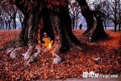 ��������������续������ʤ�أ���ȴ����ս���Ĵݲ�