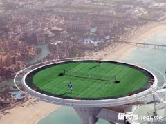 ֻ�ܷ����ڵϰݽ�ͷ��ʮ����