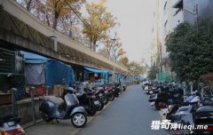 ֱ��������������ġ���ɫ���䡱