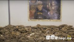 �������Ĳ��߽� ��ɱ������β��