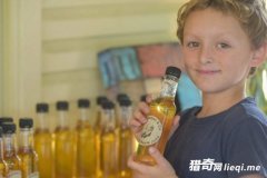 �Ĵ�����7���к�����ˮ��������Ǯ��Ȼ������һƥ�����������