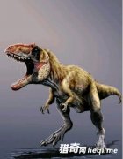 ʮ����ʳ�������а� ��һ������ʵ��ġ���˹����