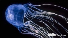 ����ʮ����֮�ף������϶�������ʱ����̵Ķ�������޷�ˮĸ