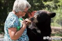 62����̫̫���������ܺ��ϻ����������������ţ��̫̫