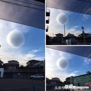 �ձ��Ͽճ��������Ʋʣ�����Ȼ���󣬻���ʢ��Ԣ�ԣ������Ʋ����