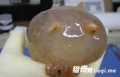 ��ֳ��û�����Ķ�����һ�ֿ����