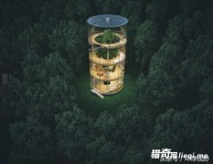 ������������Ĳ��������ݣ�ֻ�������ֺ��µĸо���