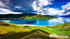 ����2071�ף��½���ߵĺ���������Ϊ����������һ������