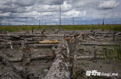 ����ڶ�������״��ÿ���ų�20��ַ�ˮ����ľ����ȫ������