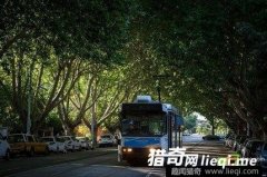 ȫ���������й�糵��ī����