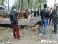 ʵ��ũ�幷���ڶ�Ʒ�ֹ�������ʵ�����ǹ�������һ�ӭ���ŵ�һ